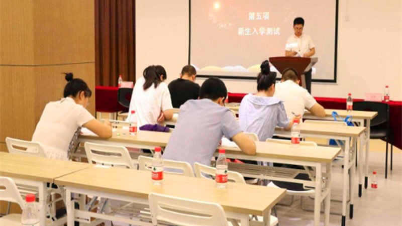网课平台排名背后的考量因素